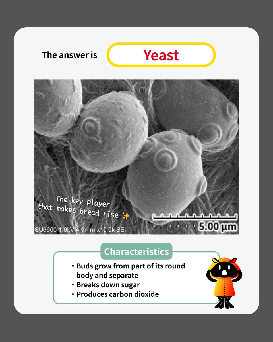 Hitachi High-Tech Corporation tweet media