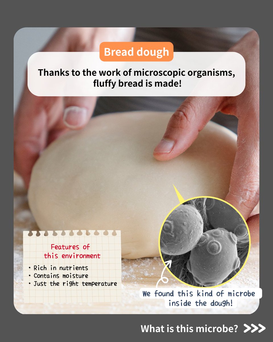 Hitachi High-Tech Corporation tweet media