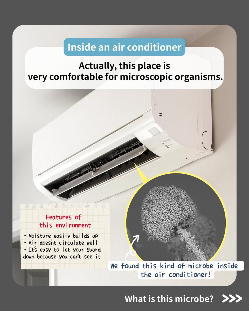 Hitachi High-Tech Corporation tweet media