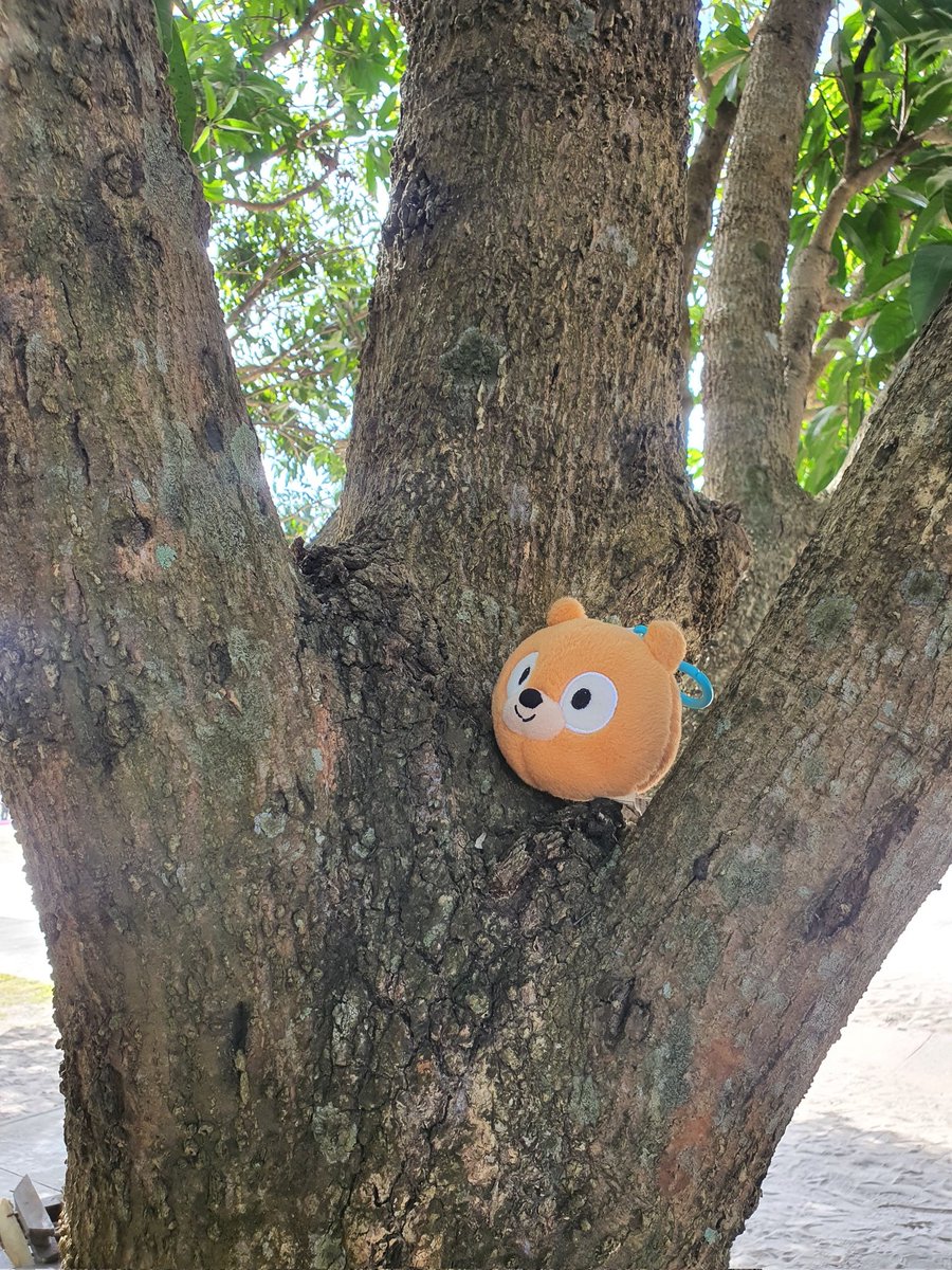 Daily Woff Migration ~○ tweet media