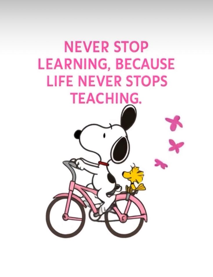 The Snoopy Corner tweet media