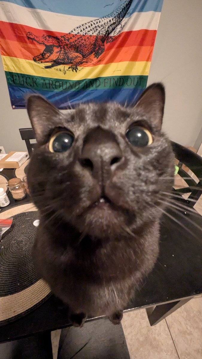 i love this dumb chud