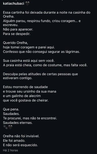 cascaofavs's tweet image. Orelha gostava do cheirinho de alecrim. Ele tinha um ursinho. Ele gostava de correr na praia. Animais sentem. Animais pensam. Animais são puros. 
Orelha é eterno.
#JustiçaPorOrelha