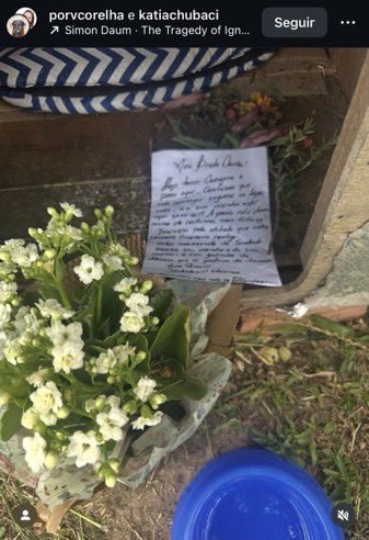 cascaofavs's tweet image. Orelha gostava do cheirinho de alecrim. Ele tinha um ursinho. Ele gostava de correr na praia. Animais sentem. Animais pensam. Animais são puros. 
Orelha é eterno.
#JustiçaPorOrelha