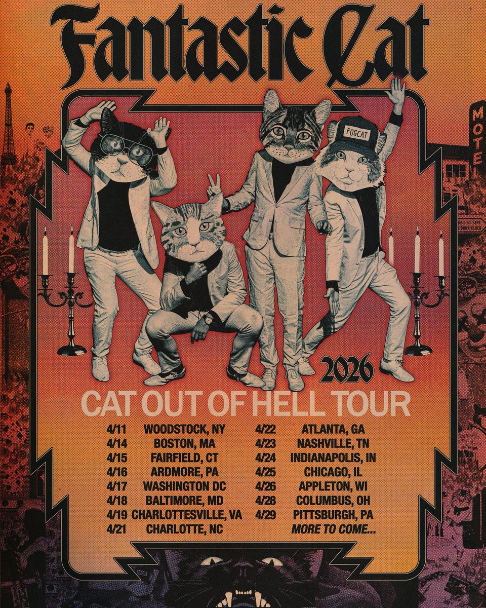 Fantastic Cat tweet media