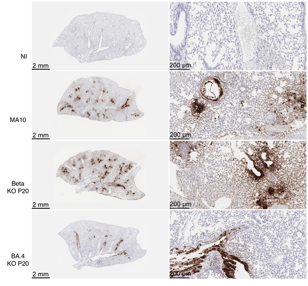 Waggoner Lab tweet media