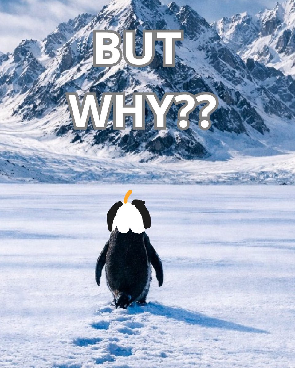 No me podia quedar atras ajajajaja 
I love Pinguin 💙
But Why??