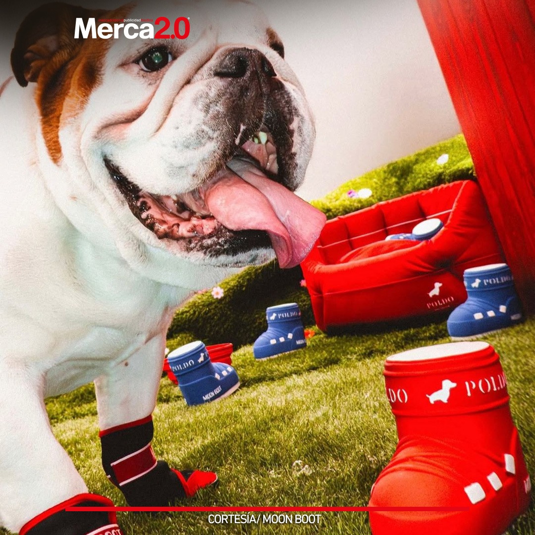 Merca20's tweet photo. #MoonBoot lanza una colección cápsula con Poldo Dog Couture para perritos, con botas, juguetes, camas y accesorios que llevan el icónico estilo de la marca, llevando diseño y diversión también al mundo de las mascotas. https://t.co/Ei1S439KO0