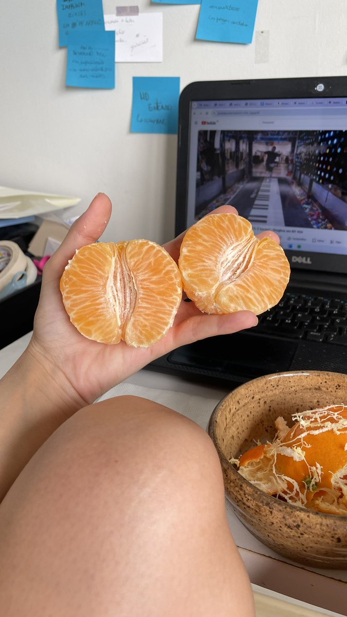 monkeysdancing's tweet image. 