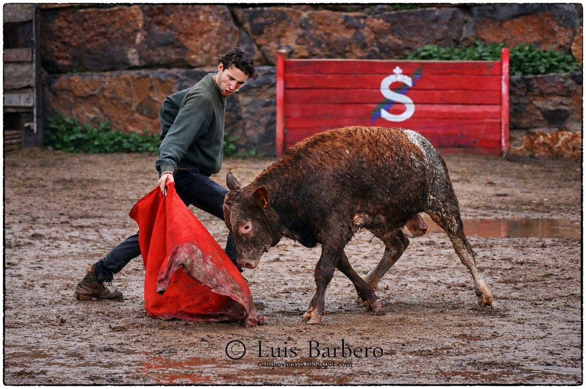 Ángel Alarcón, verdad y entrega bajo el diluvio share.google/nLnQ2hW6sXX06h…
#Toros #Tauromaquia