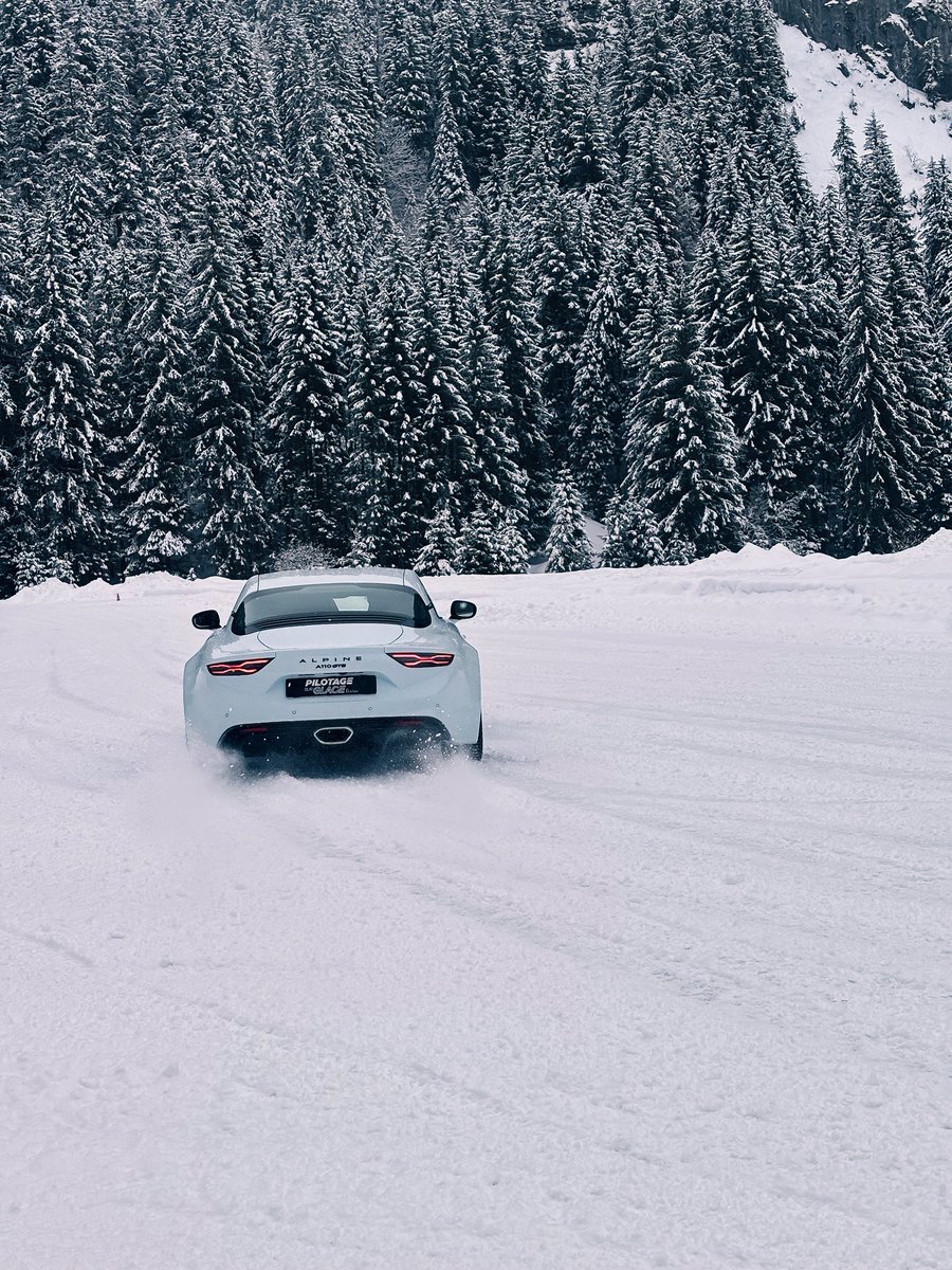 Carl Seki tweet media