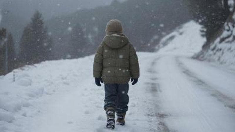 PasqualeR_ITA's tweet photo. Sospeso il conducente che ha cacciato dal bus il bimbo di 11 anni che aveva solo il biglietto ordinario, anzichè quello maggiorato per le Olimpiadi
La mamma: “È arrivato a casa in ipotermia dopo aver percorso 6 km a piedi, aveva le labbra viola” https://t.co/BitUfOBdzs