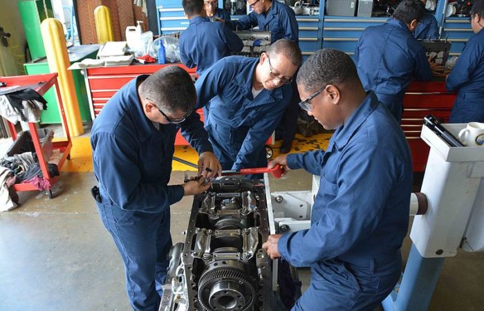 Lively Tech tweet media