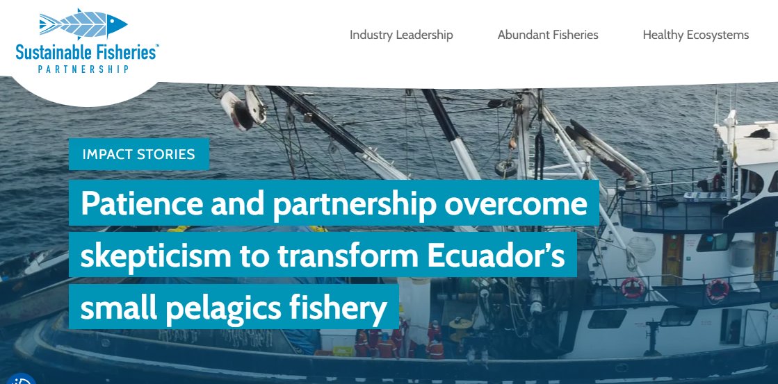 🌊✨ La ONG Sustainable Fisheries Partnership  publicó un artículo destacando el trabajo realizado para transformar la pesquería de pequeños pelágicos en Ecuador. Un proceso construido con paciencia, alianzas y decisiones técnicas que hoy muestran resultados reales para la