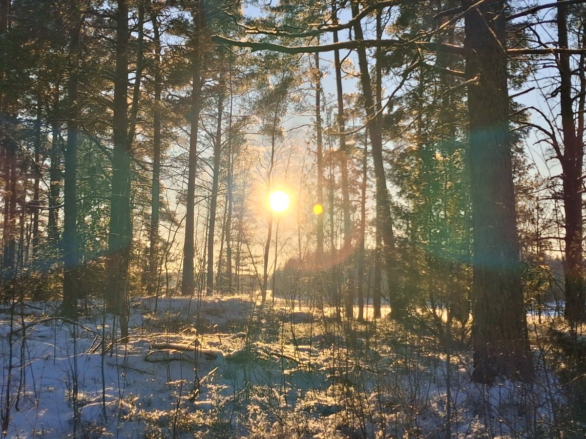 I hate people and their social games, sometimes I just wish I could lay down on the forest floor and wait untill the snow covers me.