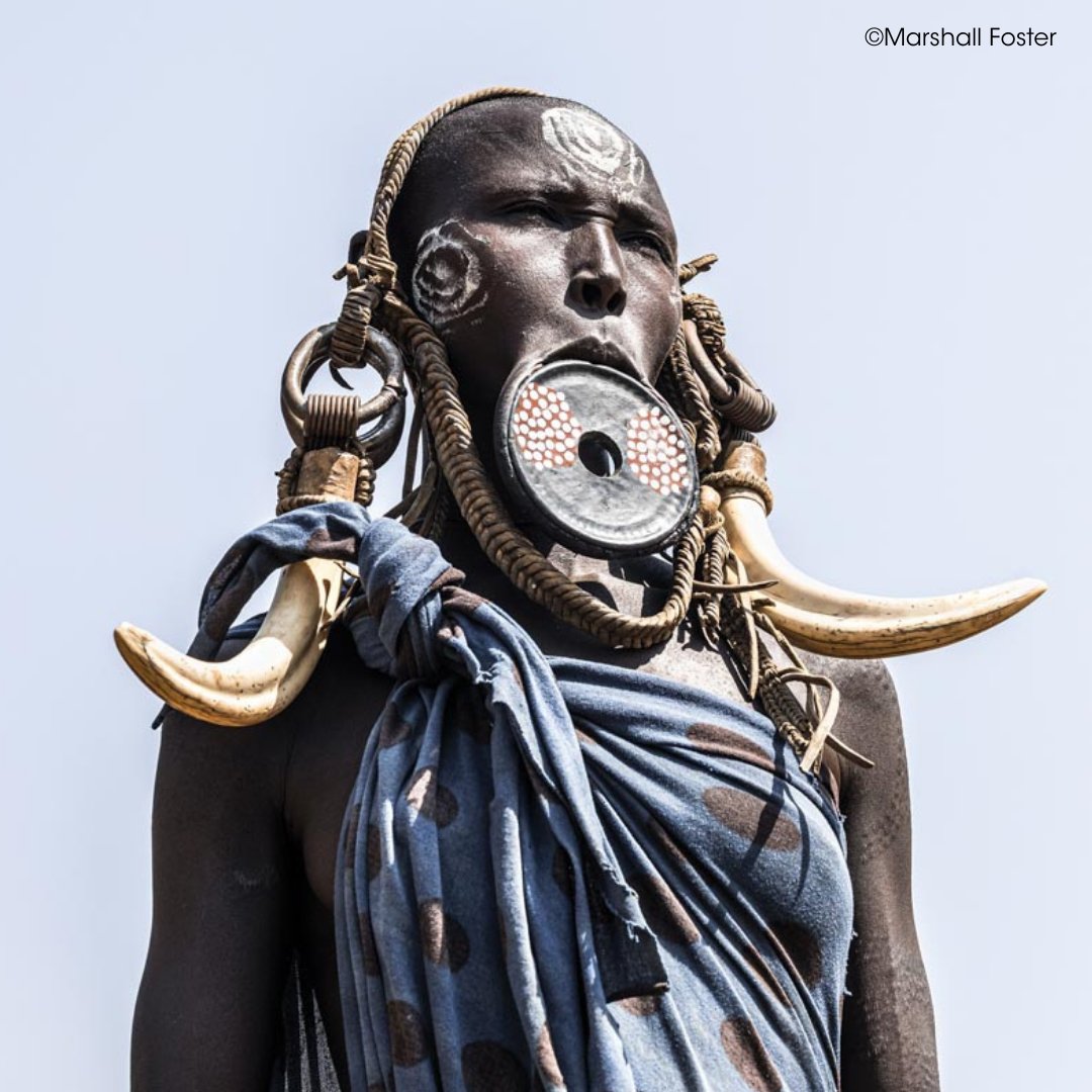 OurPPA's tweet image. Conservation and humanitarian photographers Marshall Foster (@MarshallFoster_), Talor Stone (@Talor_Stone), and Sebastian Kennerknecht (@pumapix) discuss how to make a photography career out of helping others. ppa.com/ppmag/articles…