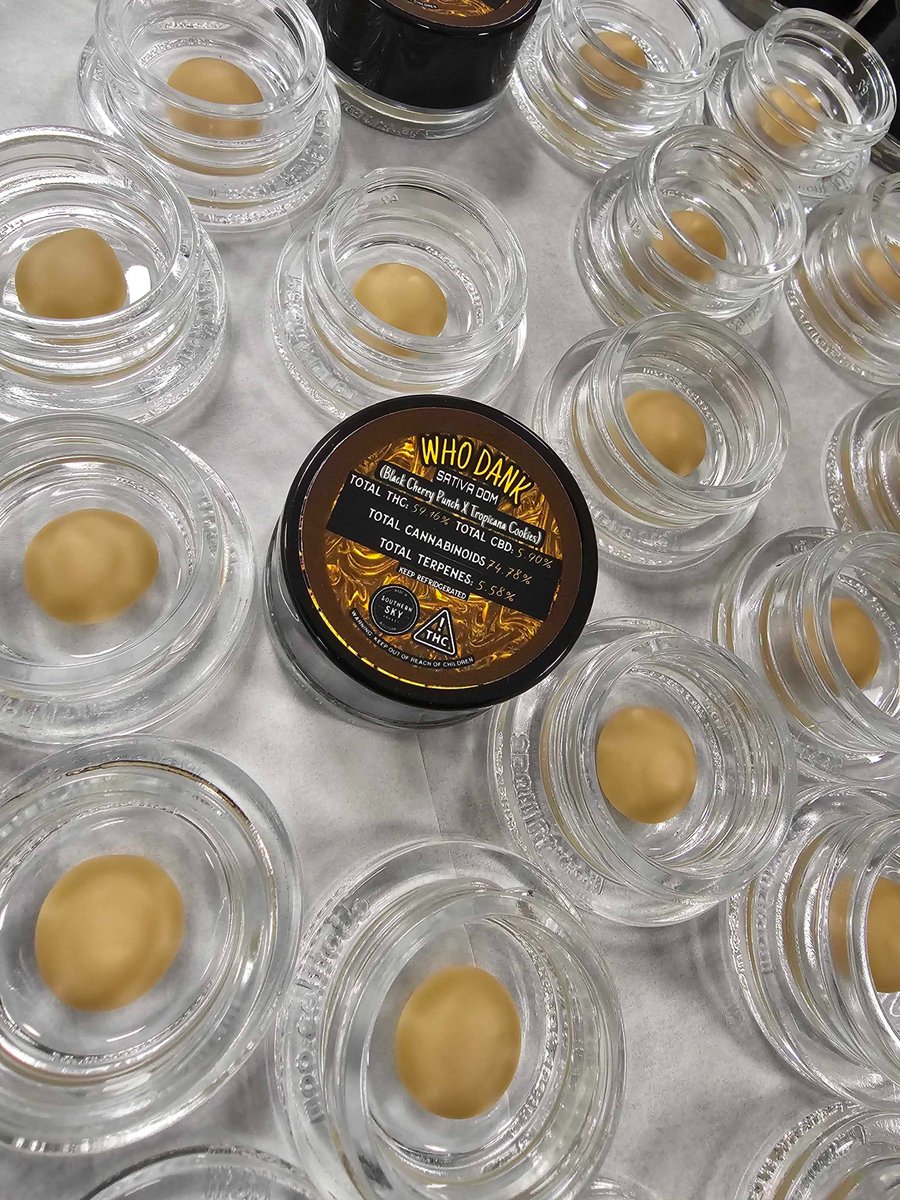 From Southern Sky Brands: Who Dank Live Rosin Badder is a zingy hybrid from Black Cherry Punch × Tropicana Cookies. Earthy flavor with bright cherry and orange notes. Euphoric, creative, and mentally focused with a relaxed, giggly vibe. Education only. Nothing for sale.