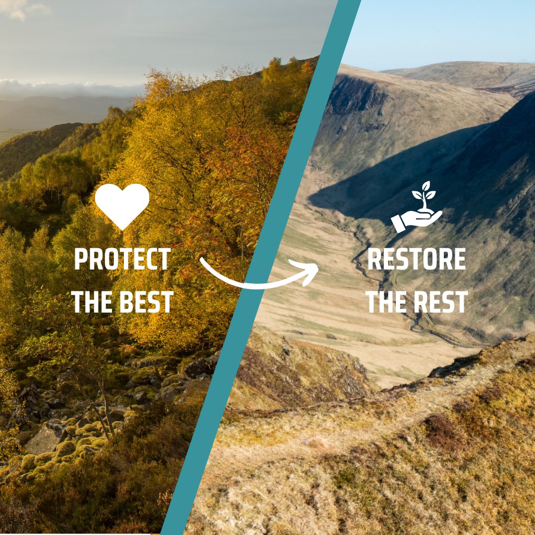 ScotRewilding's tweet image. Huge news for Scotland’s nature! 🏴󠁧󠁢󠁳󠁣󠁴󠁿 🌳🦅🪱 🍄 The Natural Environment Bill has officially been voted into law, marking a landmark victory for people and nature.

From statutory nature targets to long-awaited deer management reform, Scotland’s legal framework will now better…