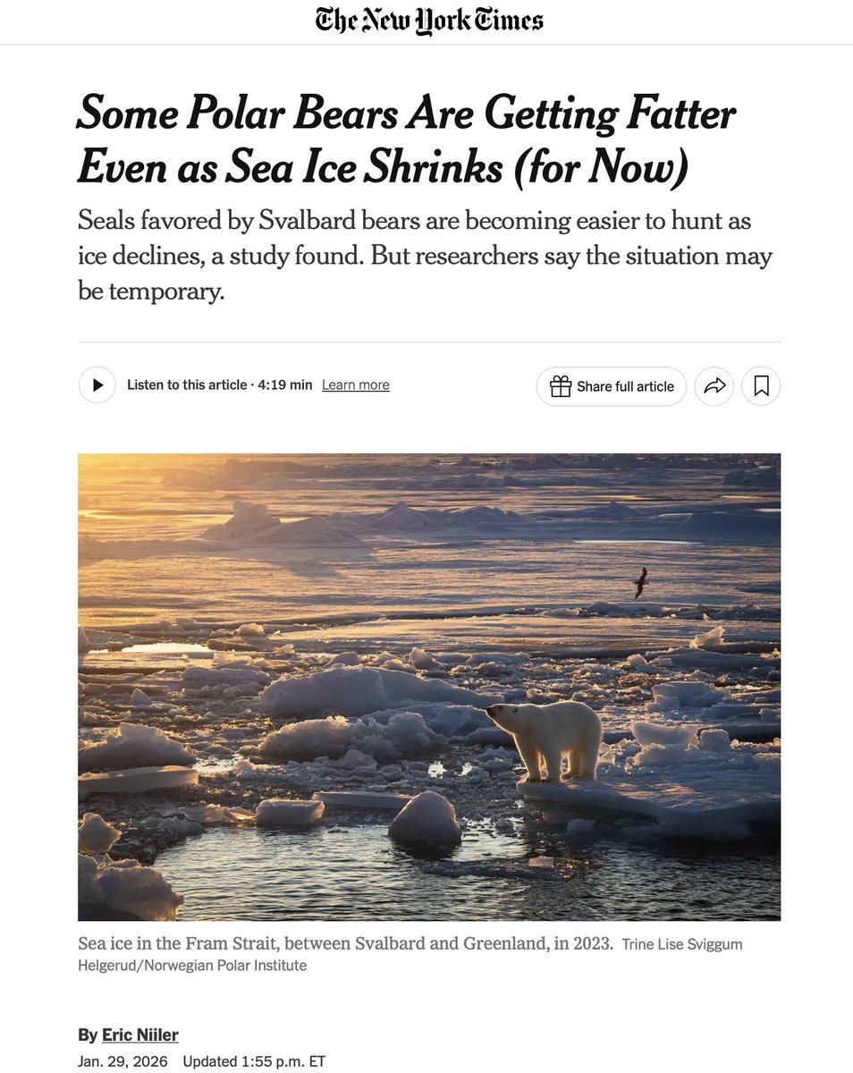 Show me a climate claim, I'll show you a lie: In 2017, the NYTimes reported that global warming was emaciating polar bears. But today, we learn, it's actually making them fatter. 

nytimes.com/2017/12/11/wor…