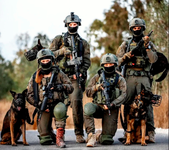 Skitzamizrahit's tweet photo. They charge into darkness so soldiers see the light. Countless lives exist today because of the brave dogs of Oketz, many paying the ultimate price in silence. No medals, just loyalty until the very end.🐾

Share this to honor the fallen on four legs. 💔
#Oketz #IDF #K9Heroes