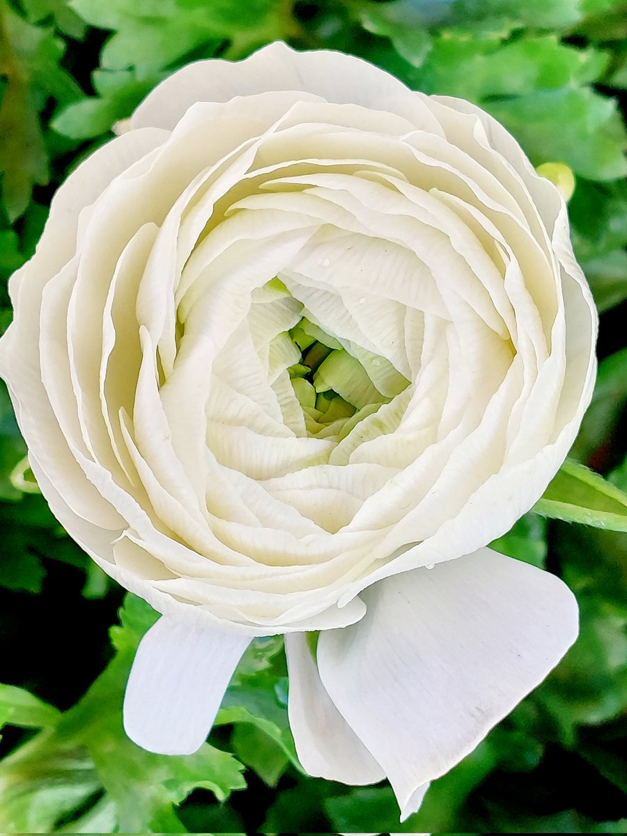 サランちゃん (@7888ma_i) / Posts / X