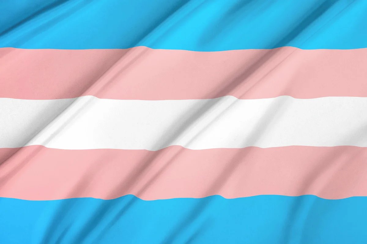 Jão lança programa de bolsas de estudo voltado exclusivamente para a população trans e travesti.

Por meio de sua empresa, a U.F.O Sounds, o artista cria o Transforma Vestibulares, projeto gratuito destinado a pessoas trans em preparação para o ENEM e outros vestibulares.