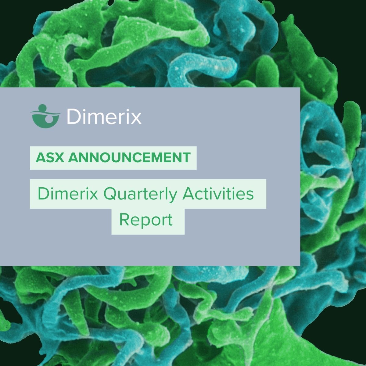 dimerixltd's tweet photo. Announcement 📣 @dimerixltd ($DXB) has released its Quarterly Activites Report, with a number of high-value clinical and regulatory milestones achieved during the quarter. More here: https://t.co/Opw989SuAx

#FSGS #clinicaltrials #biotech #raredisease https://t.co/qBK4BhTNja