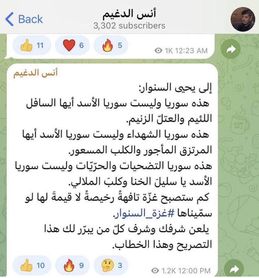 Salama Abdelkawy - سلامة عبد القوي tweet media