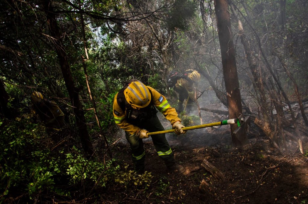 OpinaBa's tweet photo. El Gobierno acordó declarar por DNU la Emergencia Ígnea para las provincias afectadas por los incendios en la Patagonia https://t.co/eKyYQO9eHX #chubut #incendios #epuyen #losalerces #fuego #argentina #patagonia #arrayanes #afe #emergencia #fuego #bomberos #emergenciaignea #dnu https://t.co/VyGWl3yb1t