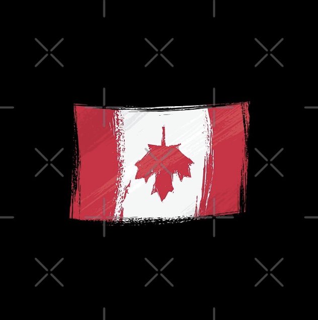 C’est insultant pour un Québécois francophone et libre d’esprit de se faire identifier comme Canadien. Oui techniquement c’est vrai on me force a l’être mais jamais au grand jamais je ne le serai dans l’âme .