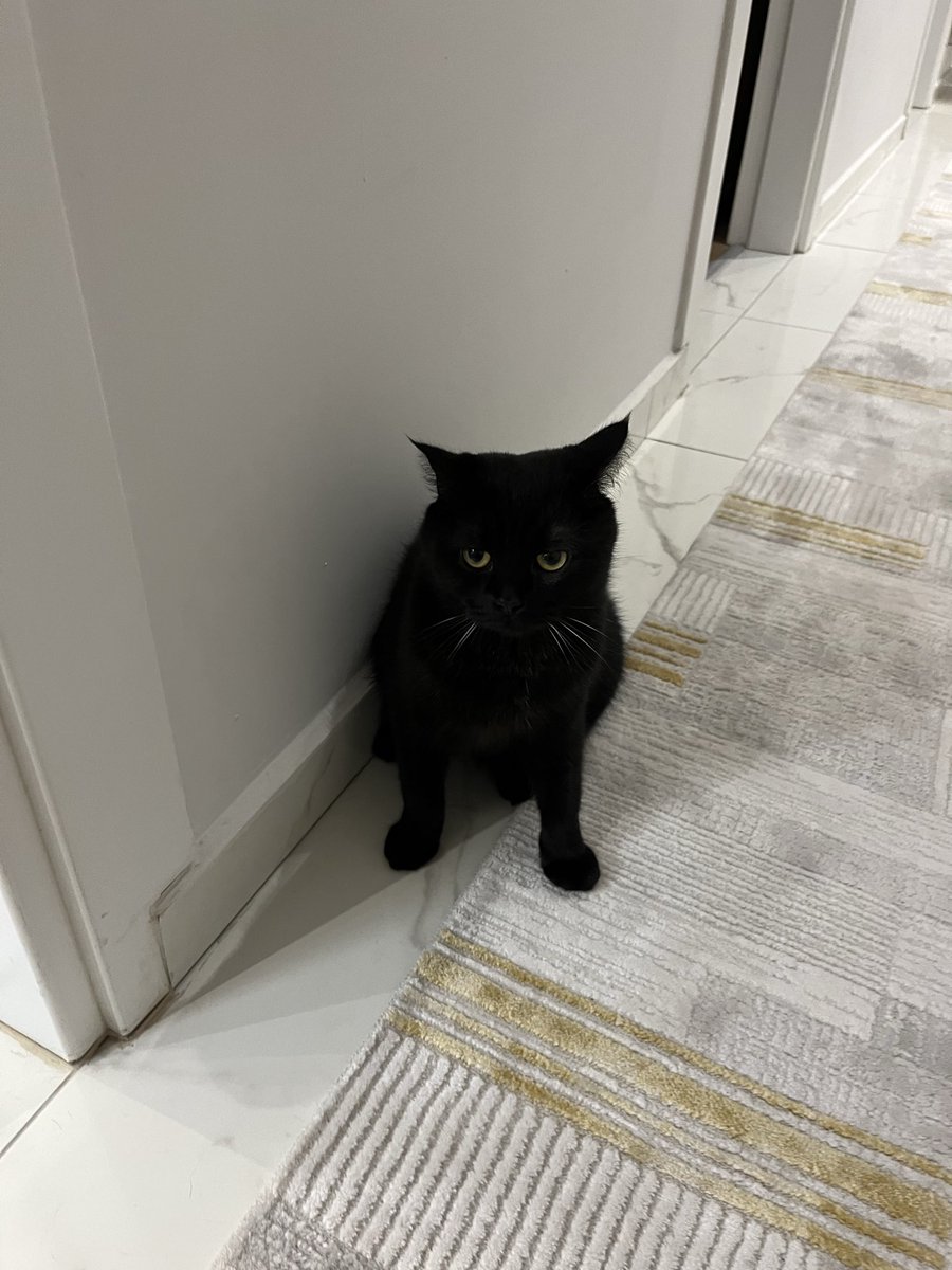 misafirlikte buldum tüm akşam peşindeydim