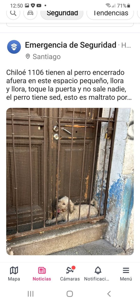Brenda Etchegaray tweet media