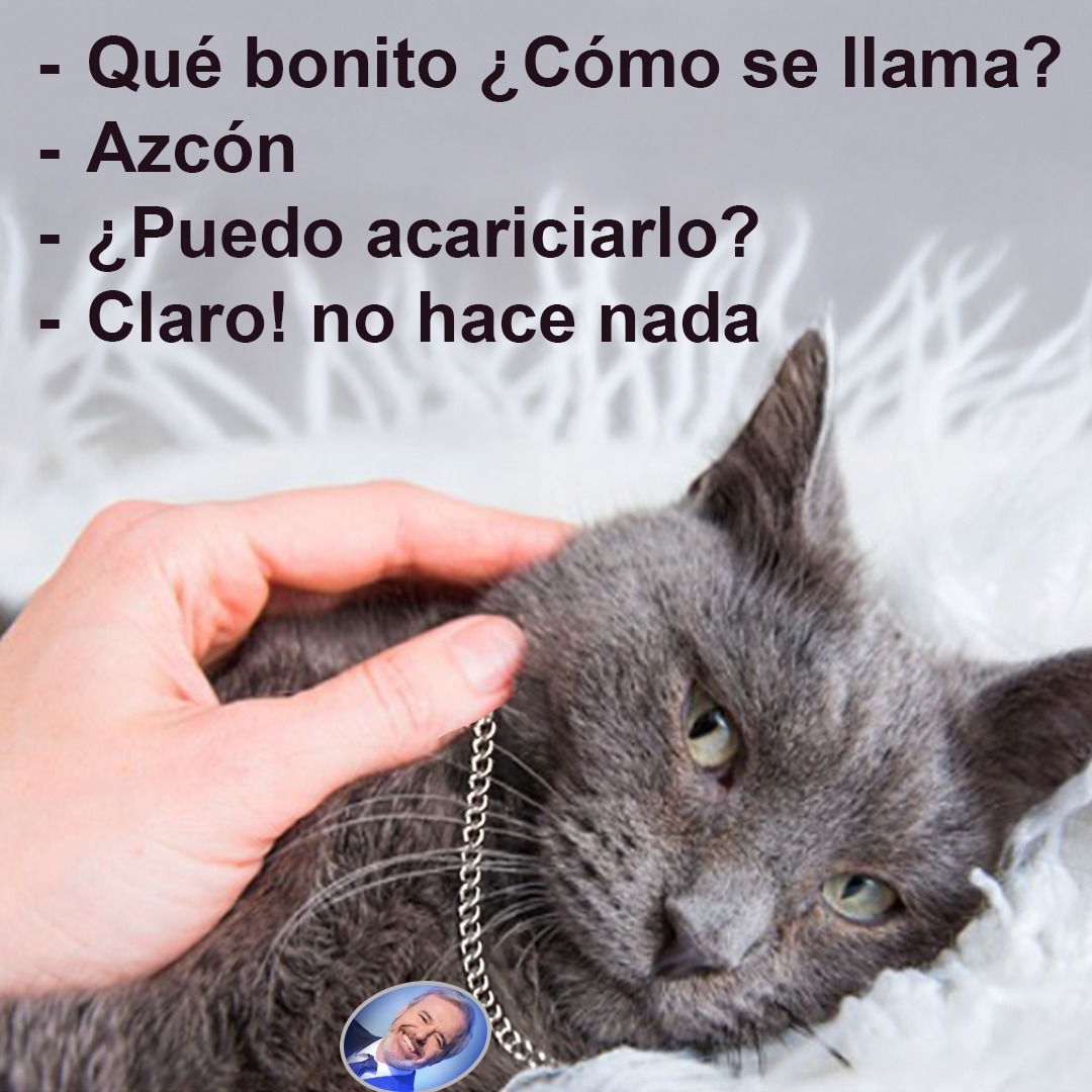 sibercan6's tweet photo. #DebateAragonRTVE https://t.co/xGeaAOpQXT