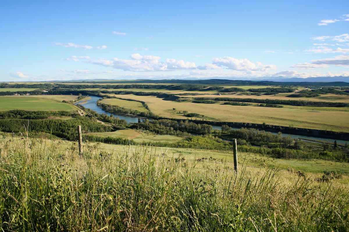 Alberta Beef tweet media