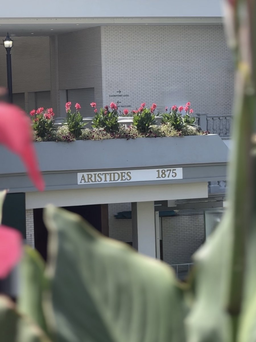 Amplify Horse Racing tweet media