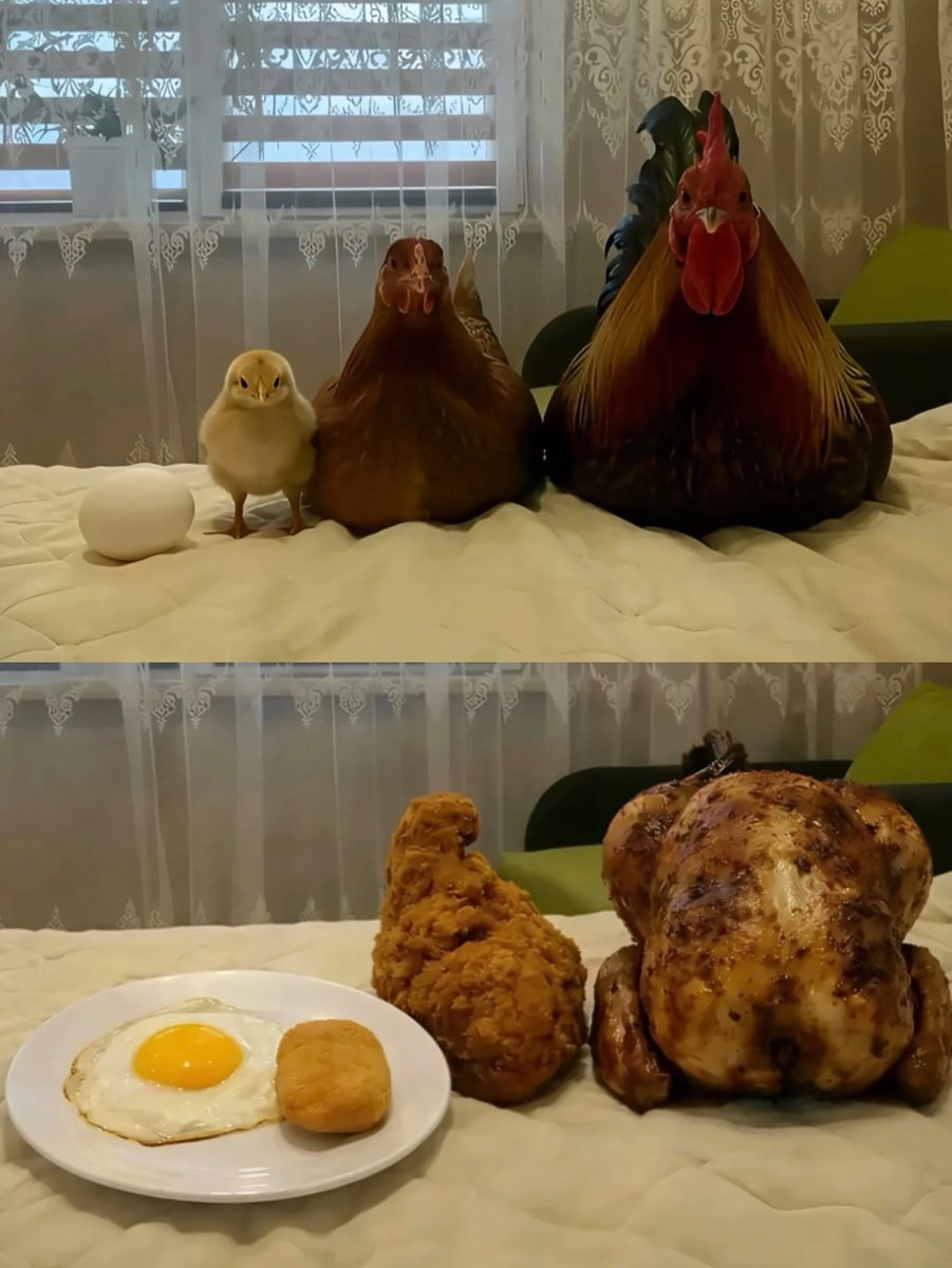 i like food (@messedupfoods) on Twitter photo 