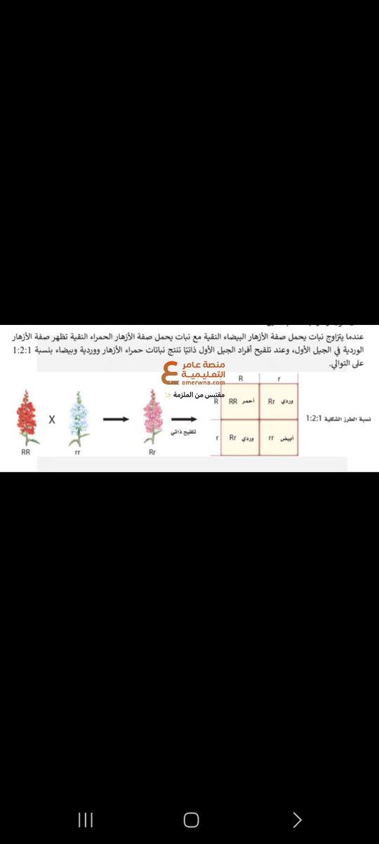 المُعلِّم أولاً tweet media