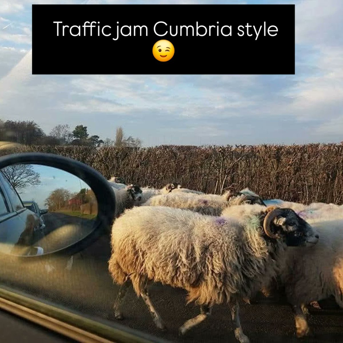 ♒ Michelle Masters #training consultant tweet media