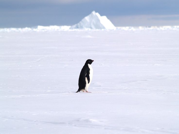 D8thinker's tweet image. But why?