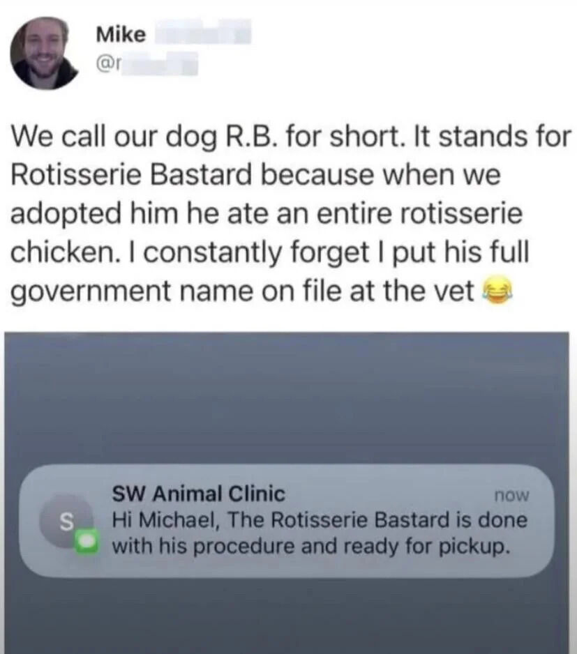 WholesomeMemes tweet media