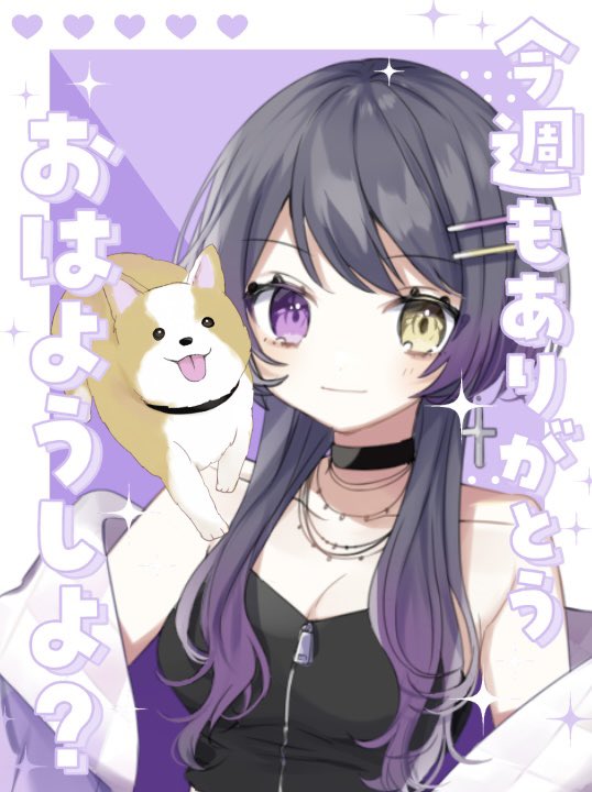 おはどんちゃあああ お外真っ暗、激さむなんですけど:(´◦ω◦｀): 昨夜