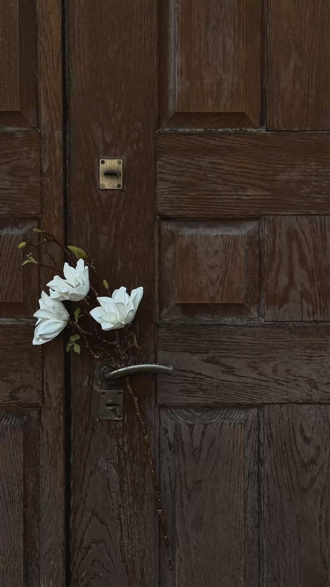 فِي المُوَاسَاة يَفُوزُ الحَنُون لَا النَّصُوح🤎