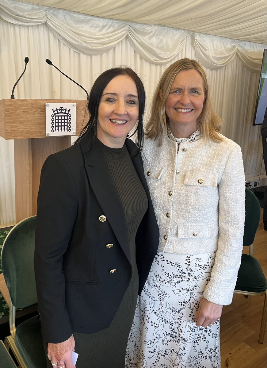 Sling the Mesh tweet media