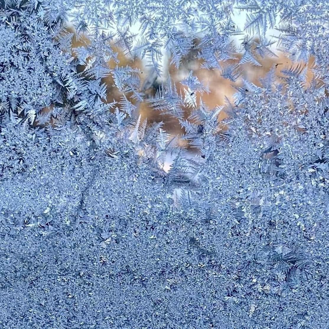 BryanMarquard's tweet image. Throwback Thursday to late January a couple of years ago, when it was also quite cold -- at least according to the picturesque frost on the garage window. #ColdFront #winterseason