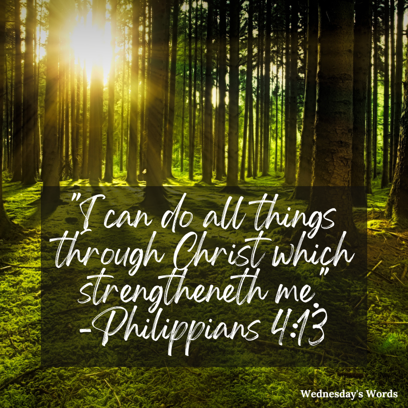 WednsdaysWords's tweet photo. "I can do all things through Christ which strengtheneth me." - Philippians 4:13. Receive weekly posts by email at https://t.co/5avtQM5pdW. #Bible #ENCOURAGEMENT #encourage #GodsWord #Scripture https://t.co/G1R0MC1KEp