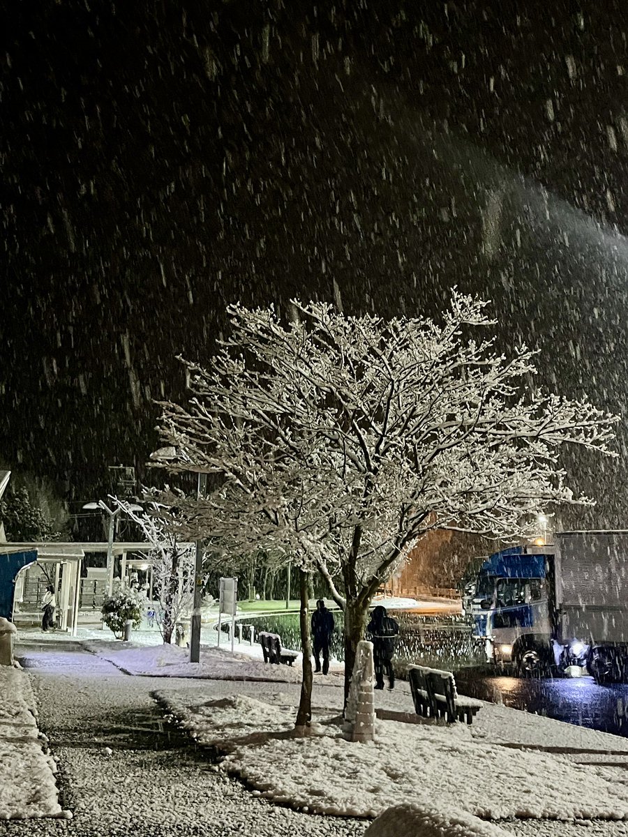 「だんべ」だね