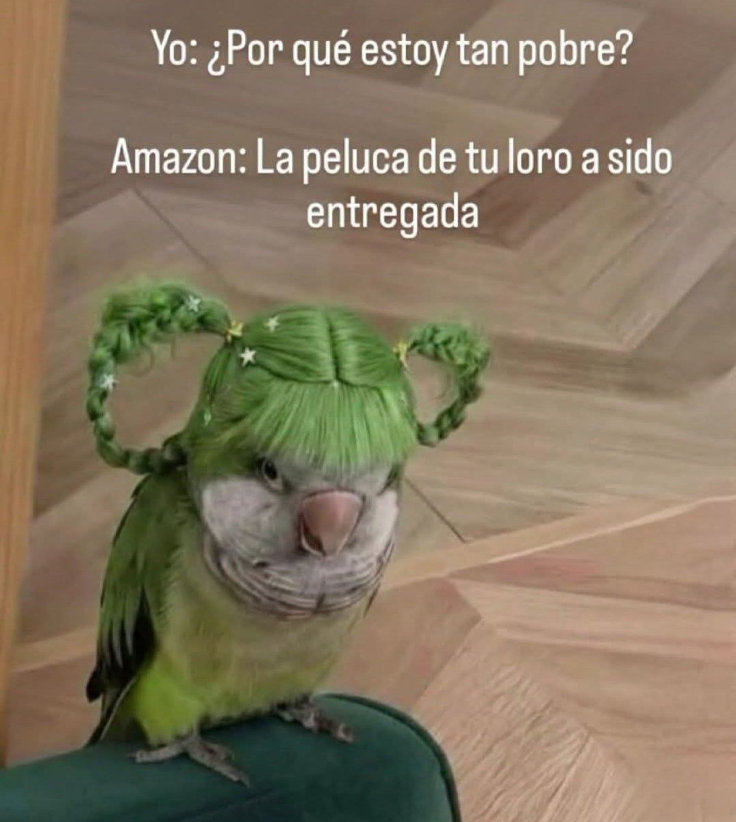 💫La de los Memes SV💫 (@the_memegirlsv) on Twitter photo 