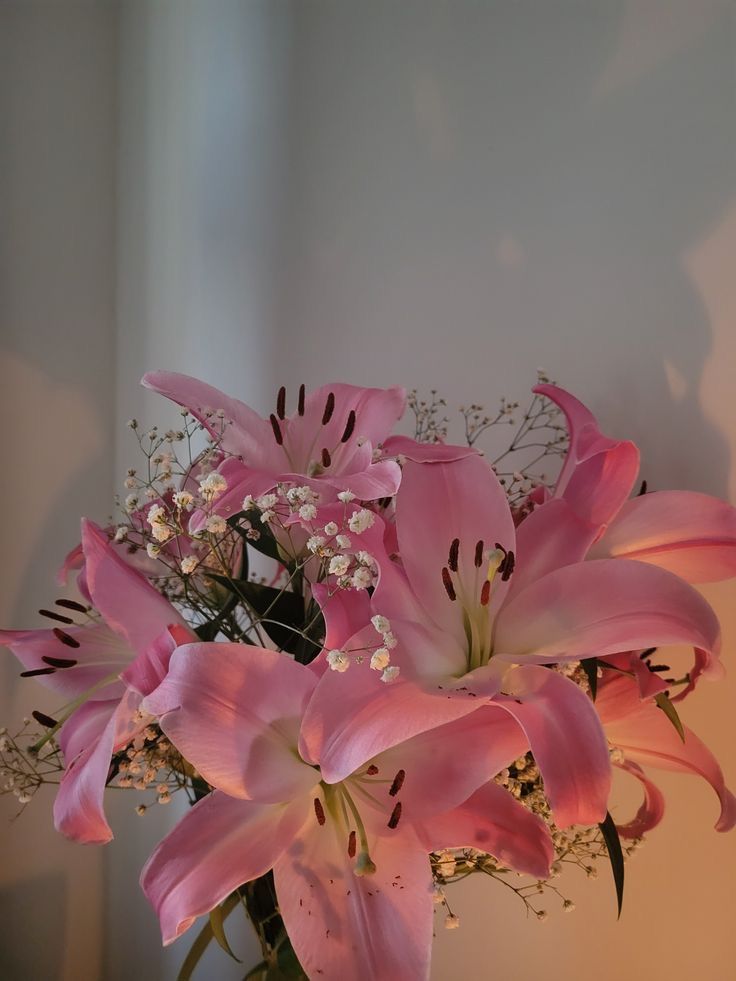bloomifyyy's tweet photo. https://t.co/FIHJR6mZtG
