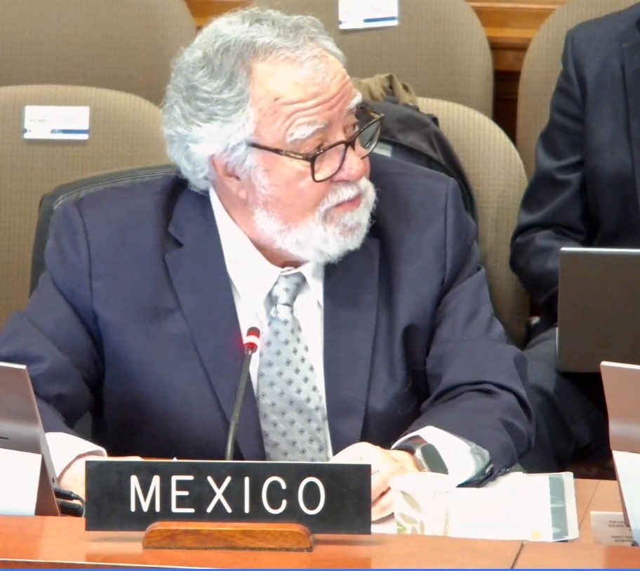 En Comisión de Asuntos Jurídicos y Políticos #CAJP- <a href="/CP_OEA/">Consejo Permanente - OEA / OAS - Permanent Council</a> donde la <a href="/RELE_CIDH/">Relatoría Especial p/la Libertad Expresión (CIDH)</a> presentó avances del estudio sobre impacto IA en DDHH, el Emb. <a href="/A_Encinas_R/">Alejandro Encinas</a> 🇲🇽 afirmó que el derecho internacional es aplicable en el ciberespacio y que en éste deben respetarse plenamente los DDHH