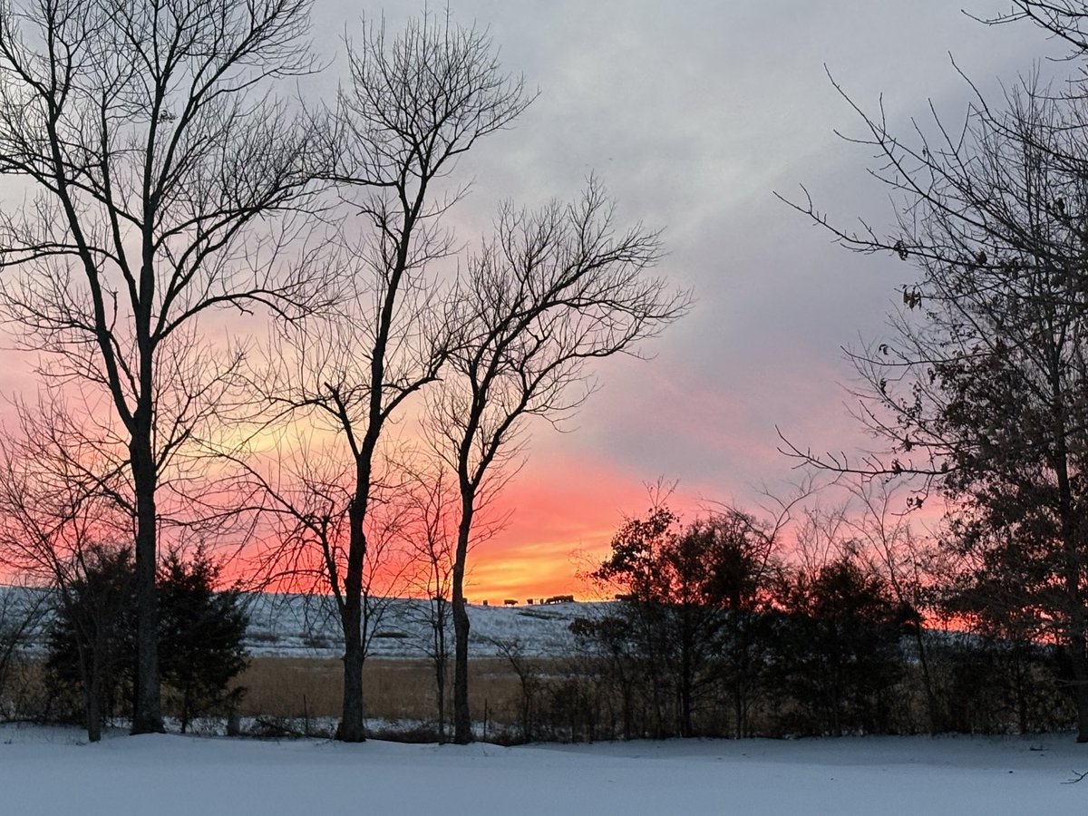 Chris Cloud tweet media